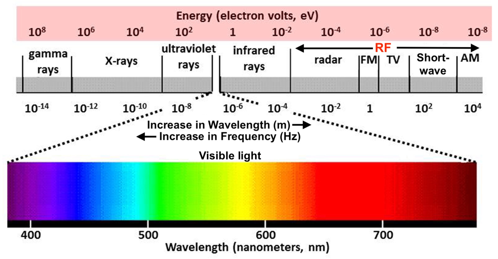 RF Basics